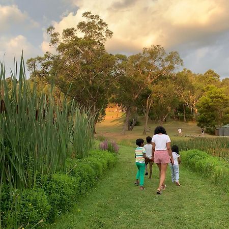 Iluka Retreat Glamping Village Red Hill South Εξωτερικό φωτογραφία